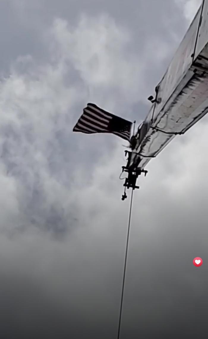 Greater Bay Area Tree & Arborist Services Image