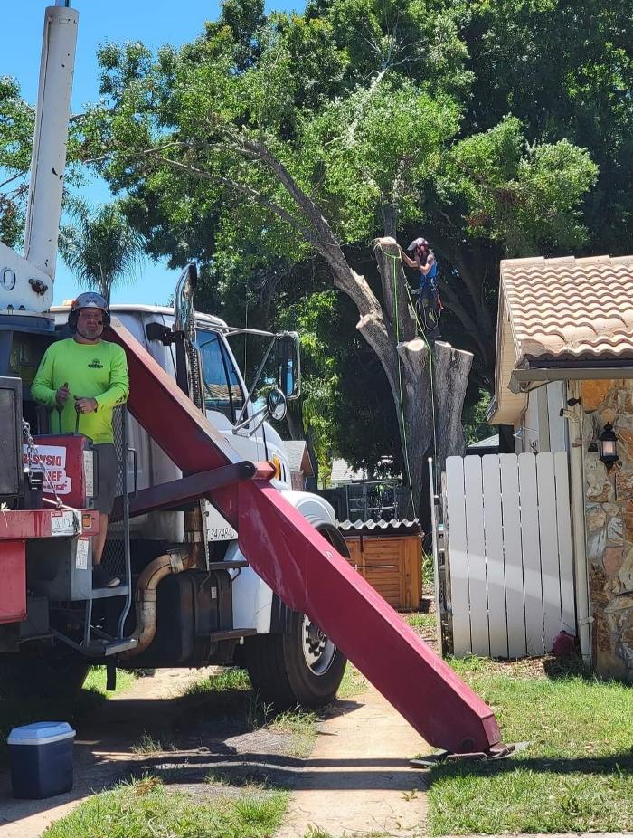 Greater Bay Area Tree & Arborist Services Image