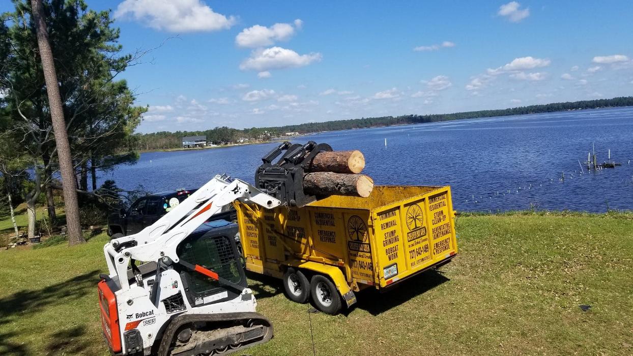 Greater Bay Area Tree & Arborist Services Image