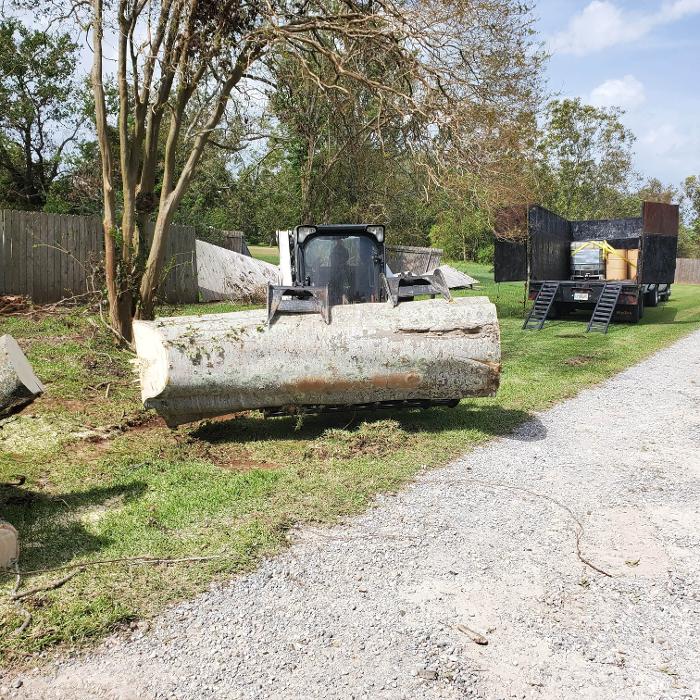 Greater Bay Area Tree & Arborist Services Image