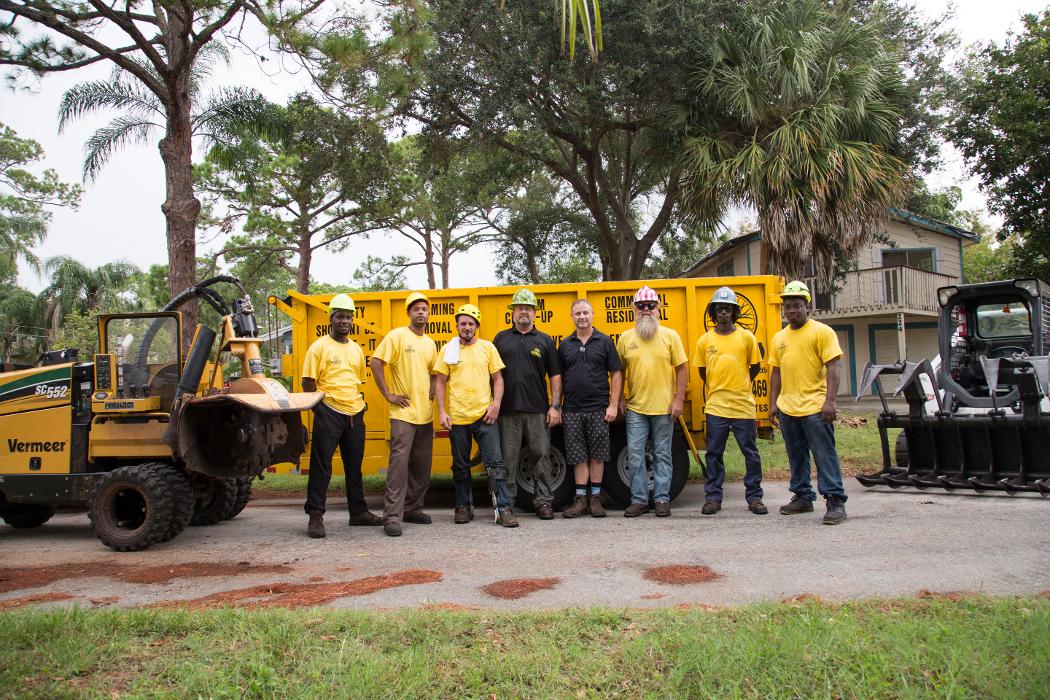 Greater Bay Area Tree & Arborist Services Image