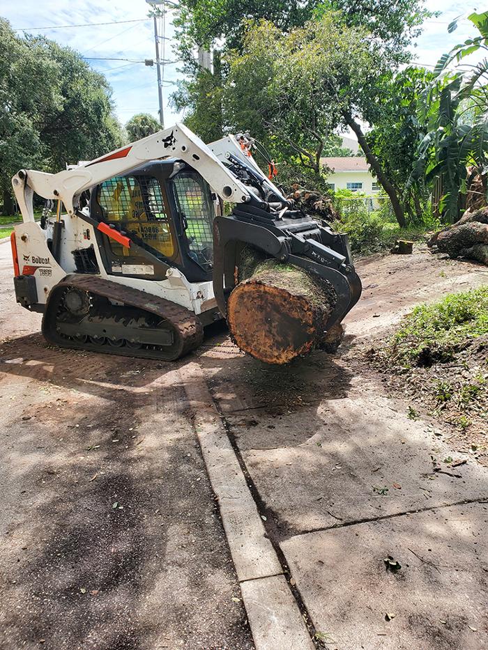 Greater Bay Area Tree & Arborist Services Image