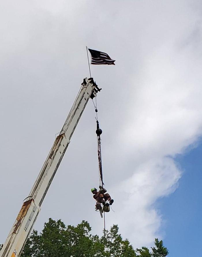 Greater Bay Area Tree & Arborist Services Image