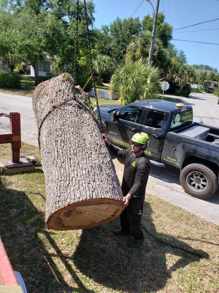 Greater Bay Area Tree & Arborist Services Image