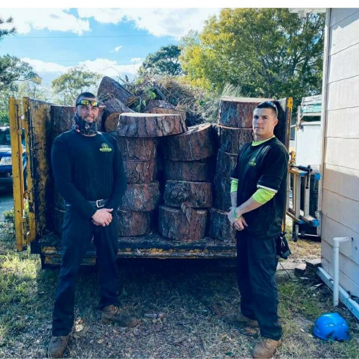 Greater Bay Area Tree & Arborist Services Image