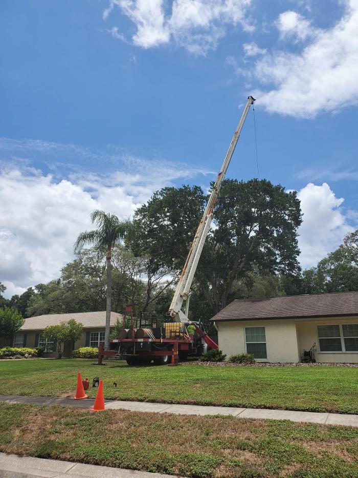 Greater Bay Area Tree & Arborist Services Image