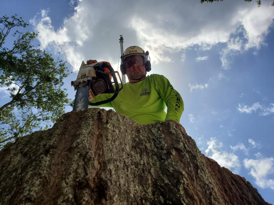 Greater Bay Area Tree & Arborist Services Image