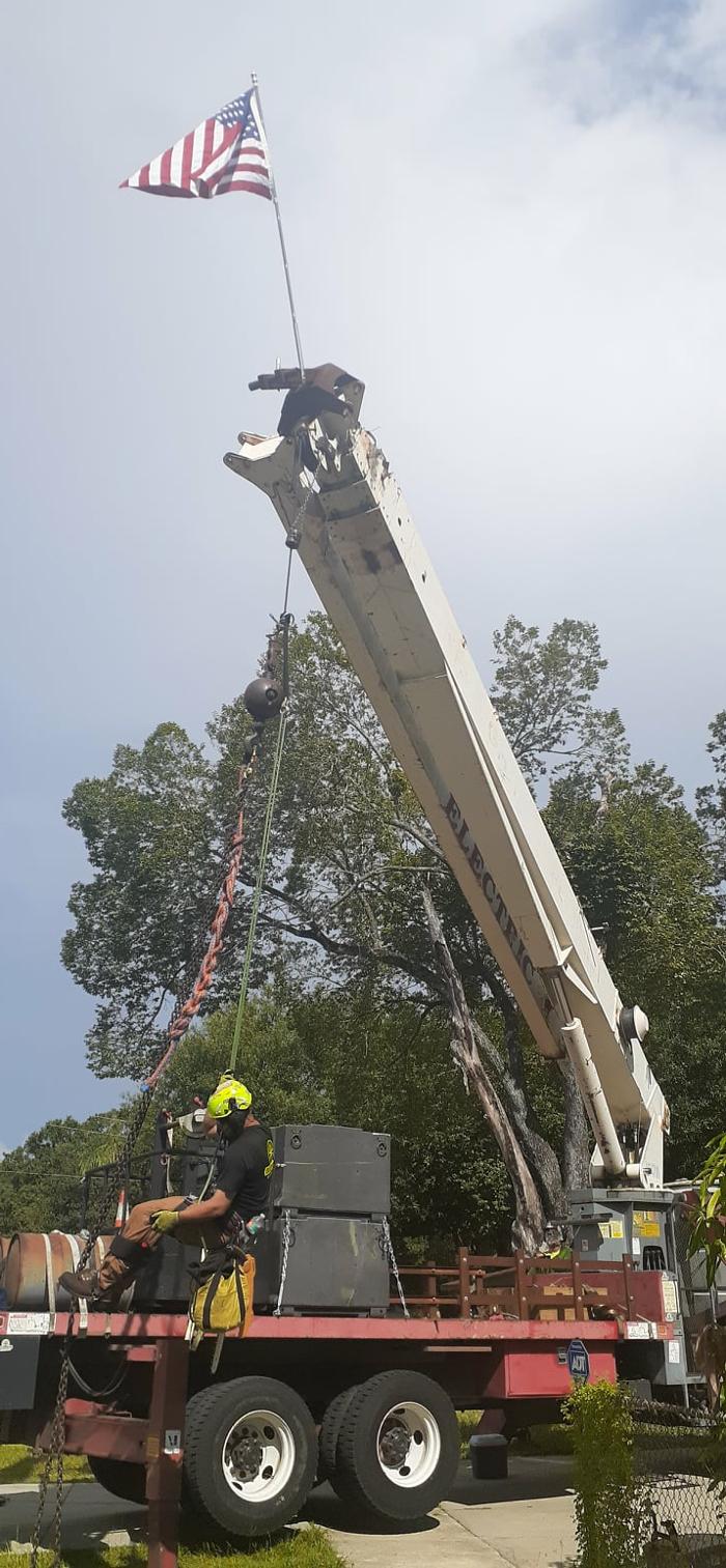 Greater Bay Area Tree & Arborist Services Image