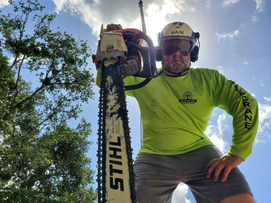 Greater Bay Area Tree & Arborist Services Image