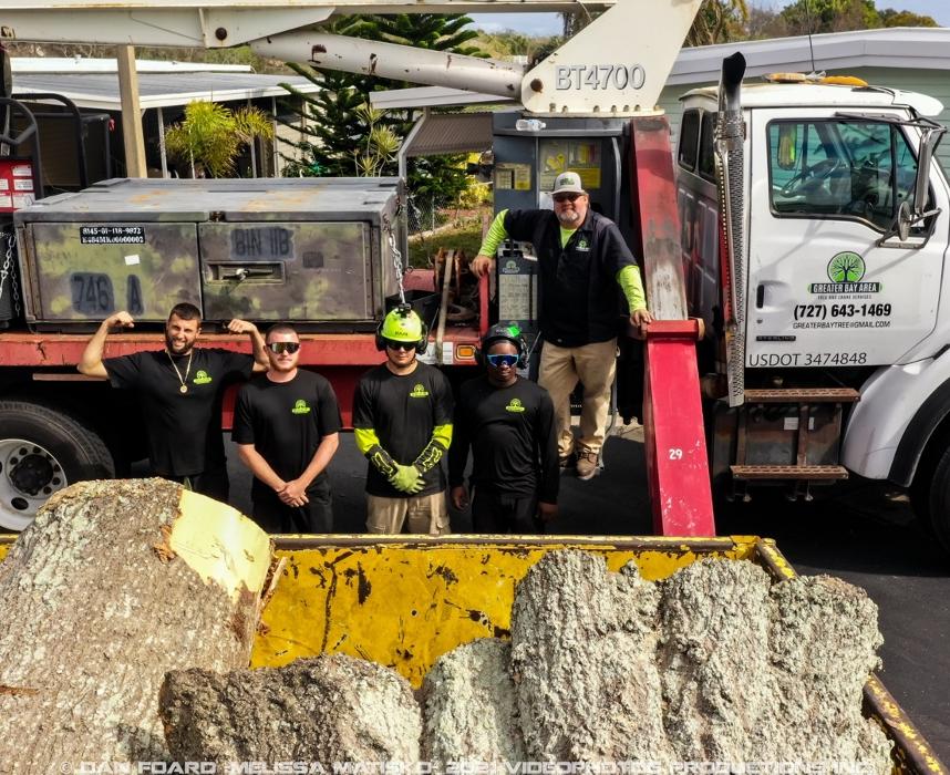 Greater Bay Area Tree & Arborist Services Image