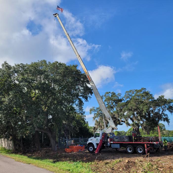 Greater Bay Area Tree & Arborist Services Image