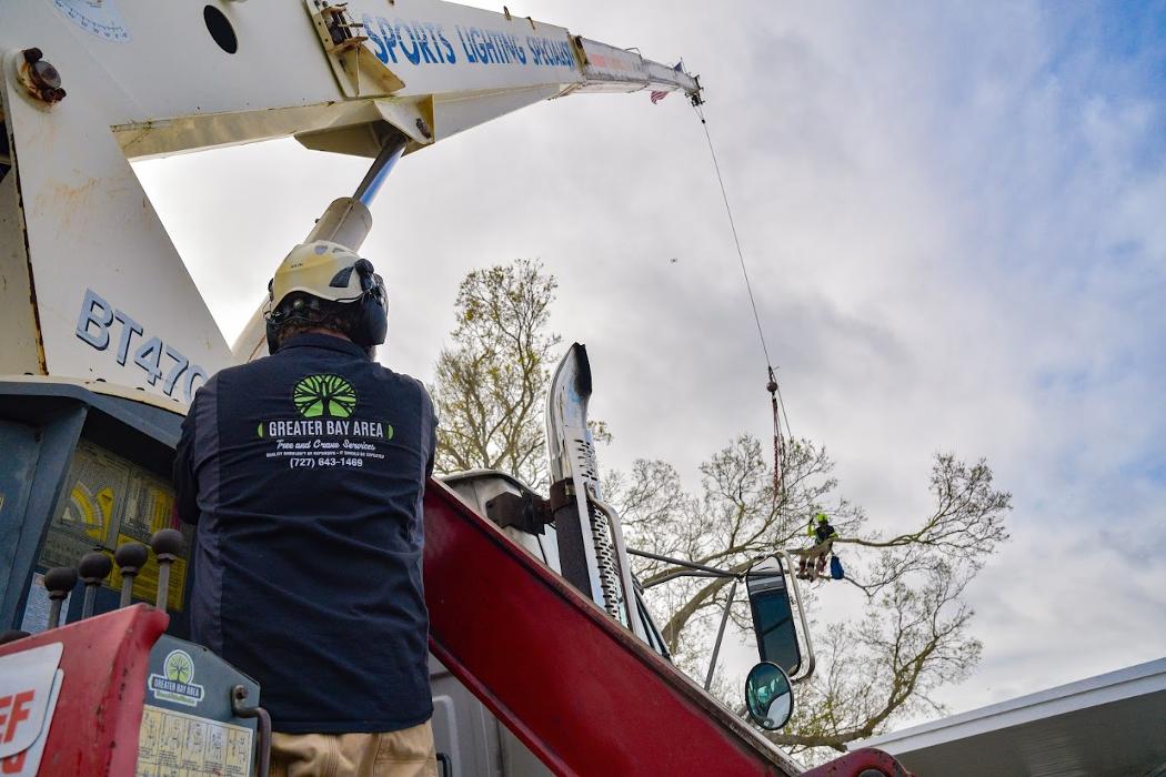 Greater Bay Area Tree & Arborist Services Image