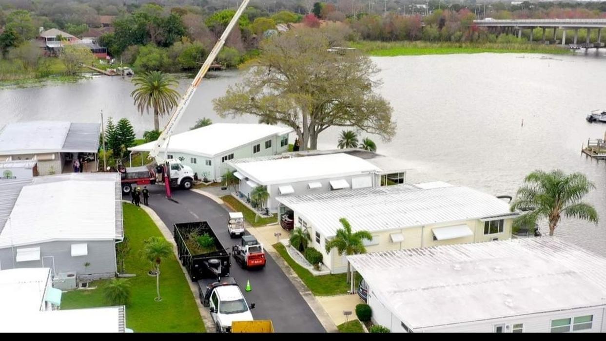 Greater Bay Area Tree & Arborist Services Image