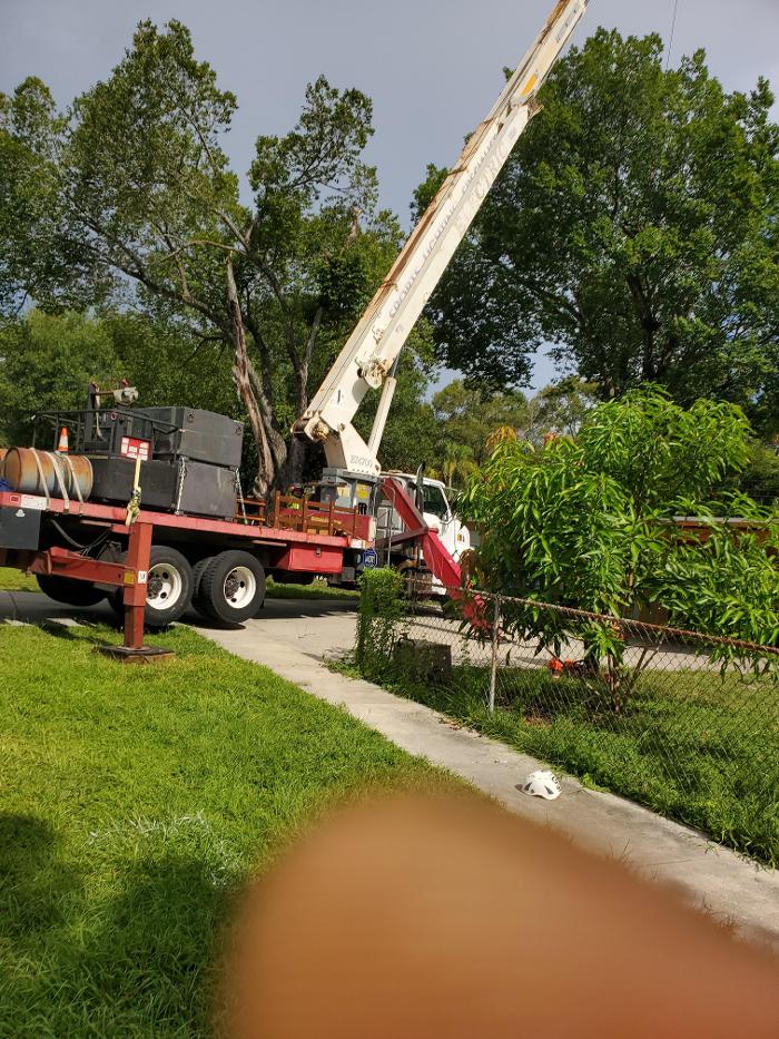 Greater Bay Area Tree & Arborist Services Image