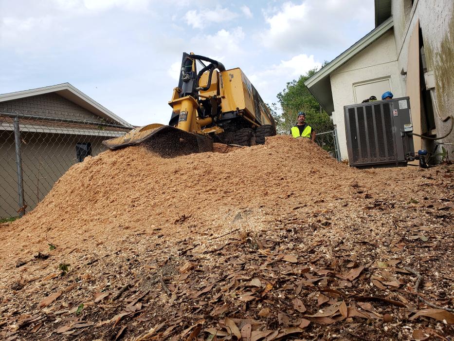 Greater Bay Area Tree & Arborist Services Image