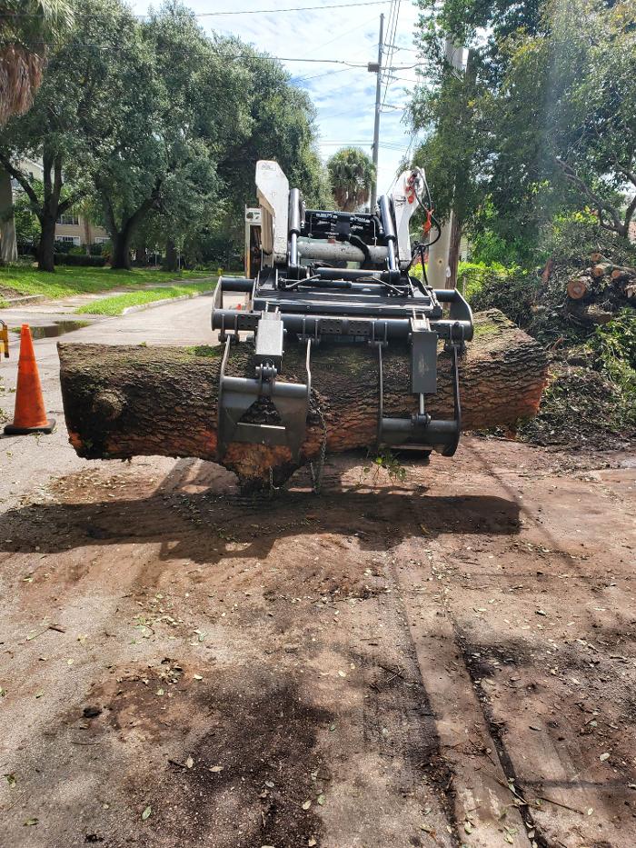 Greater Bay Area Tree & Arborist Services Image