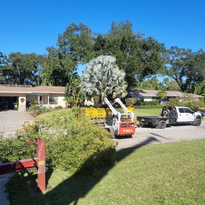Greater Bay Area Tree & Arborist Services Image