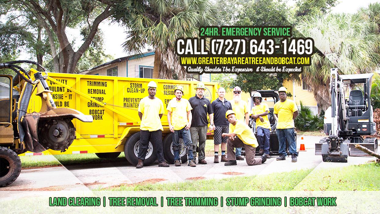 Greater Bay Area Tree &amp; Arborist Services Logo