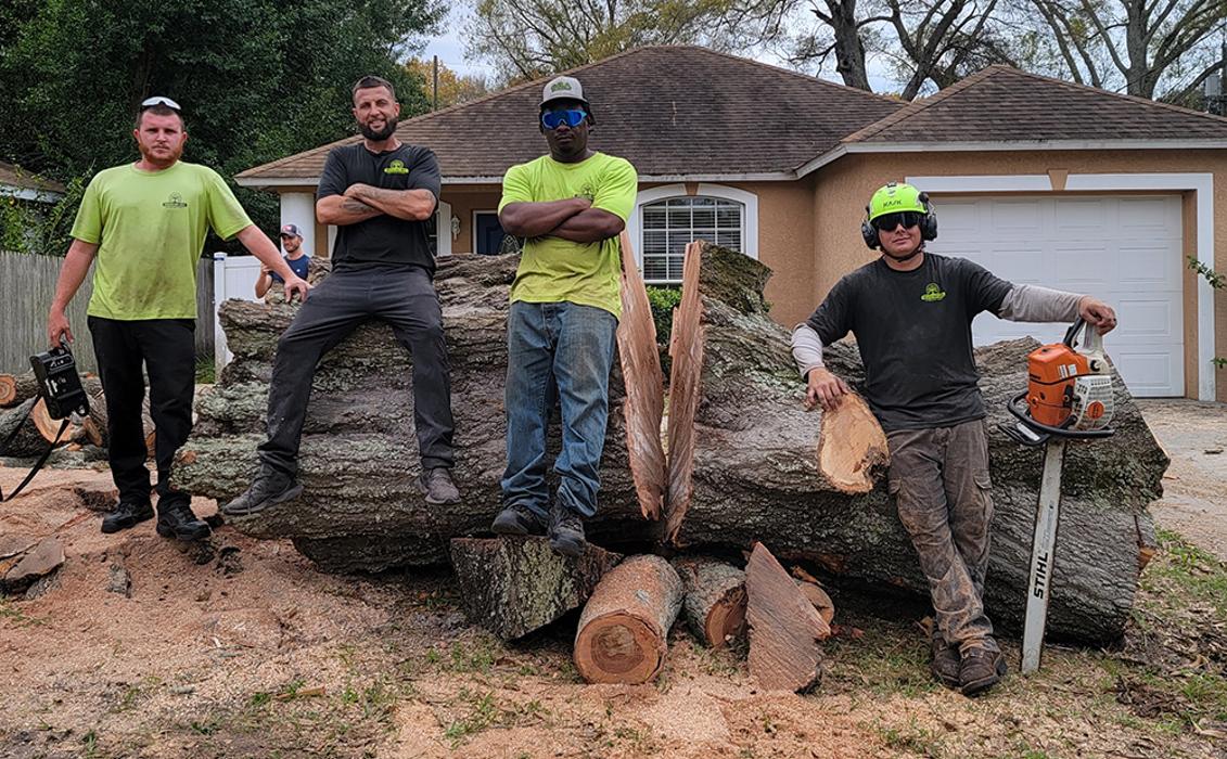 Greater Bay Area Tree & Arborist Services Image