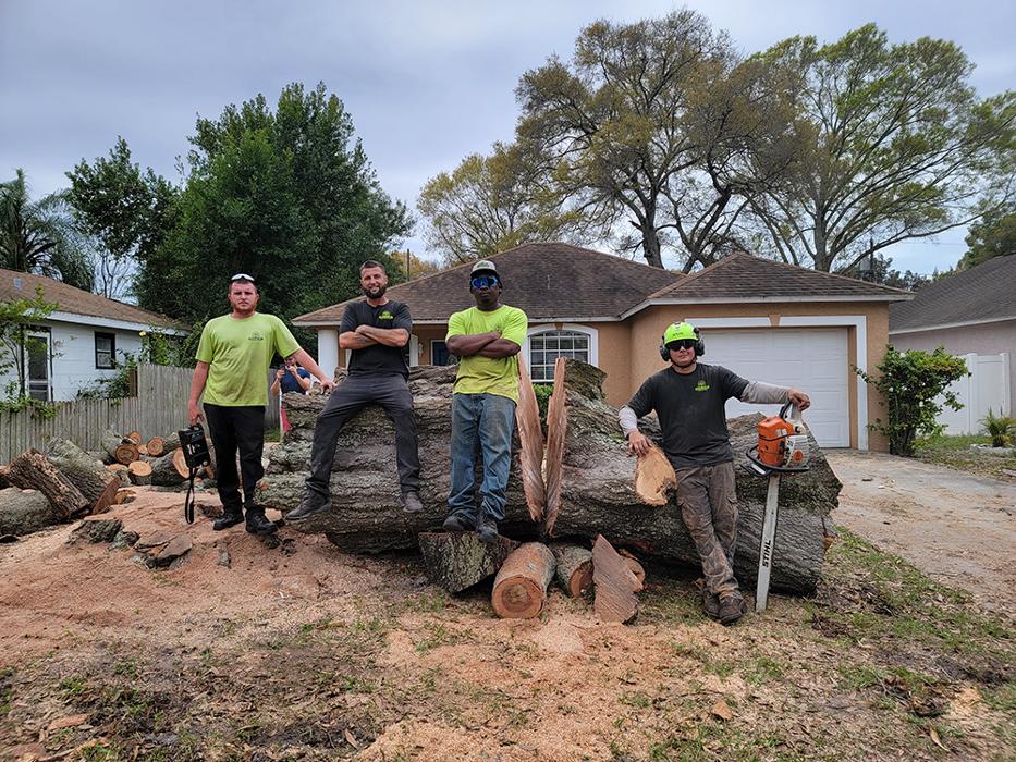 Greater Bay Area Tree & Arborist Services Image