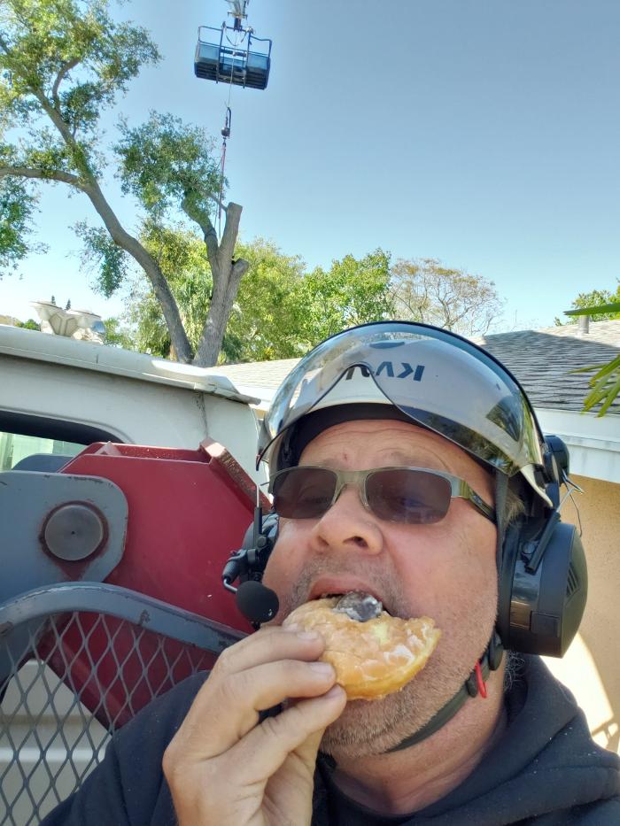 Greater Bay Area Tree & Arborist Services Image