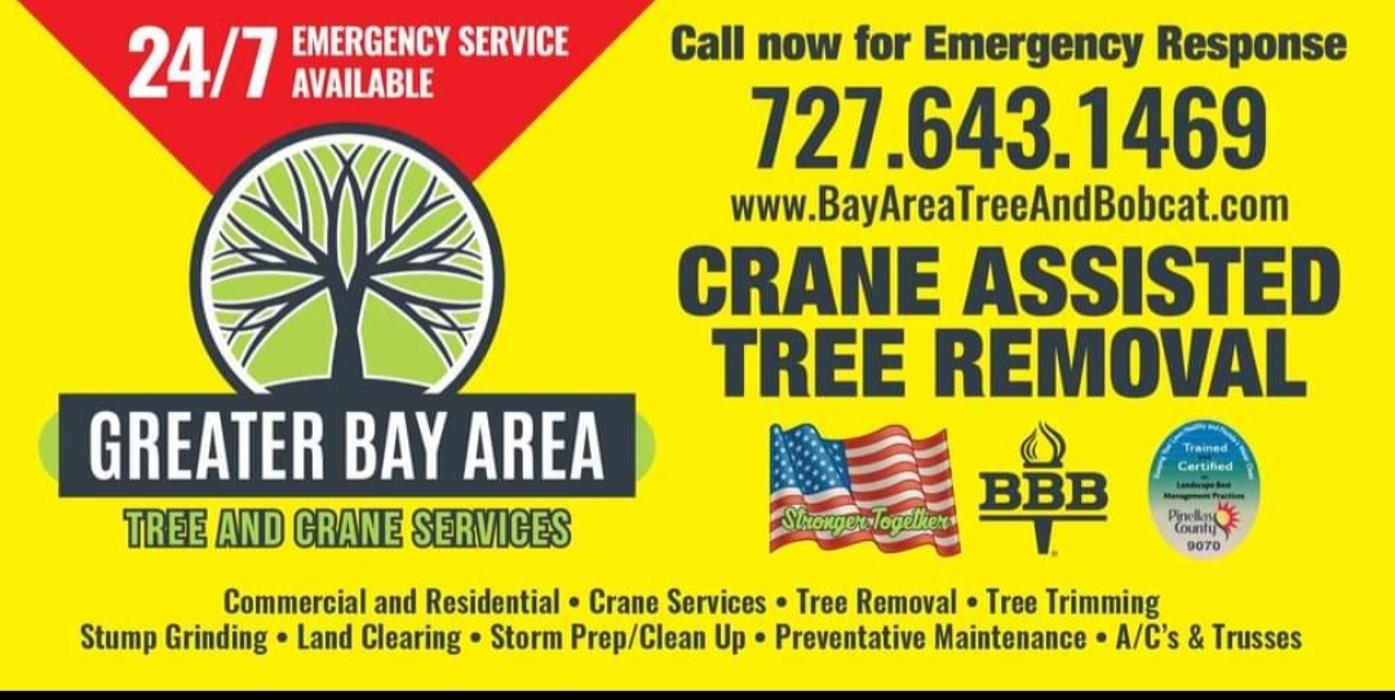 Greater Bay Area Tree & Arborist Services Image