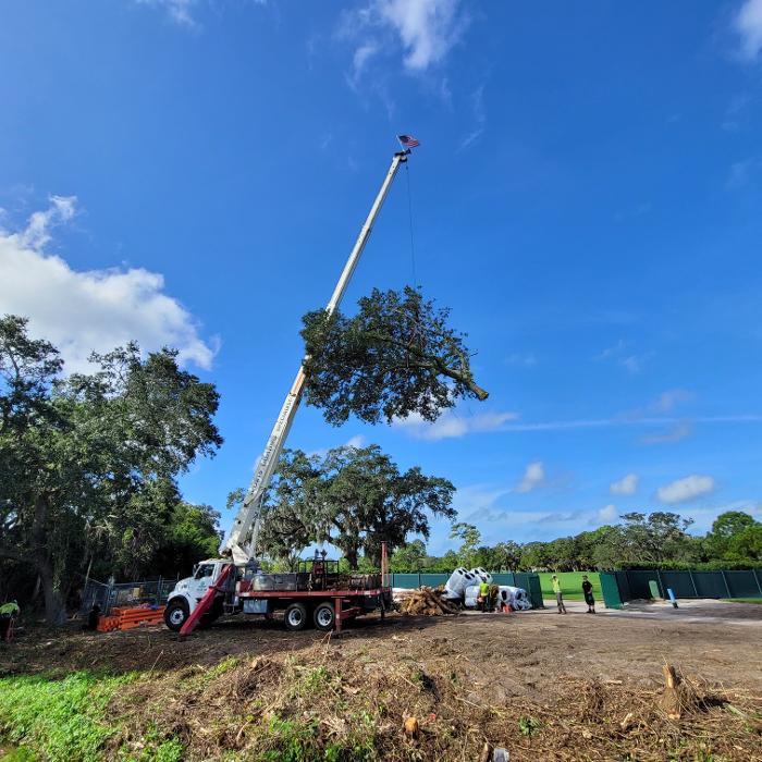 Greater Bay Area Tree & Arborist Services Image