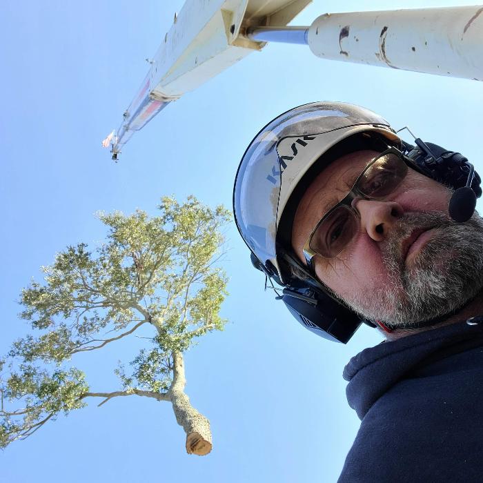 Greater Bay Area Tree & Arborist Services Image