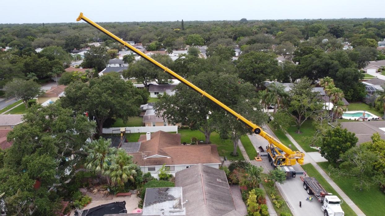 Greater Bay Area Tree & Arborist Services Image