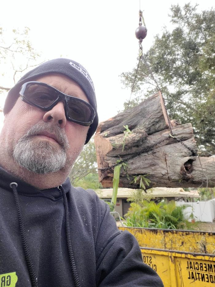 Greater Bay Area Tree & Arborist Services Image