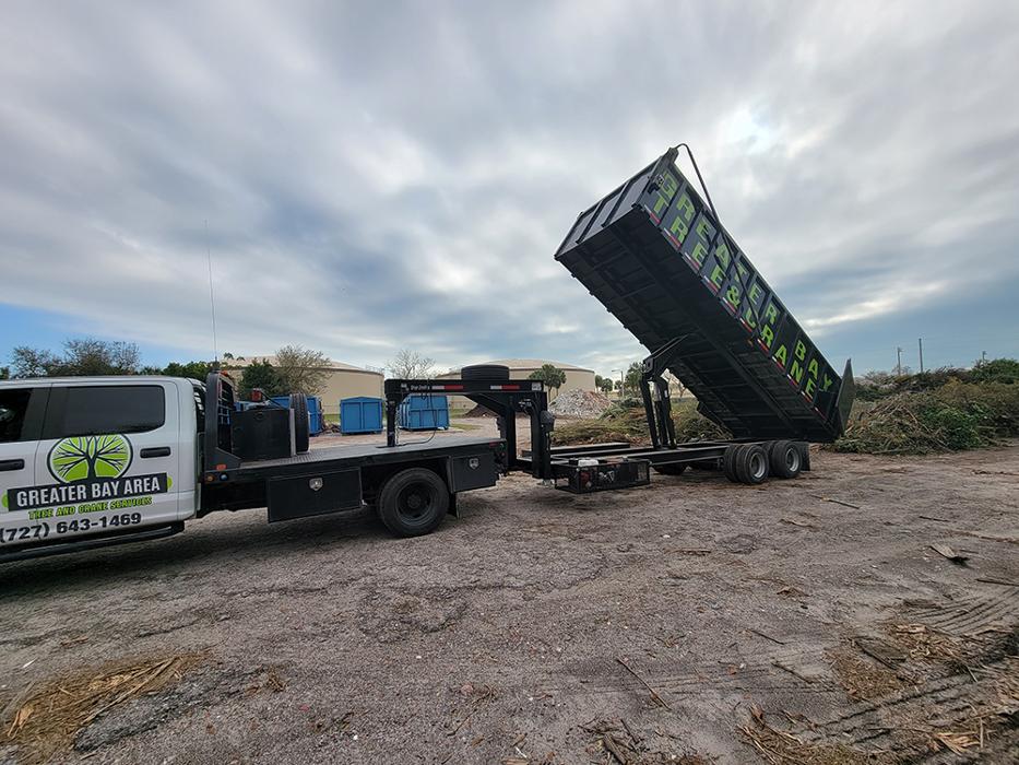 Greater Bay Area Tree & Arborist Services Image