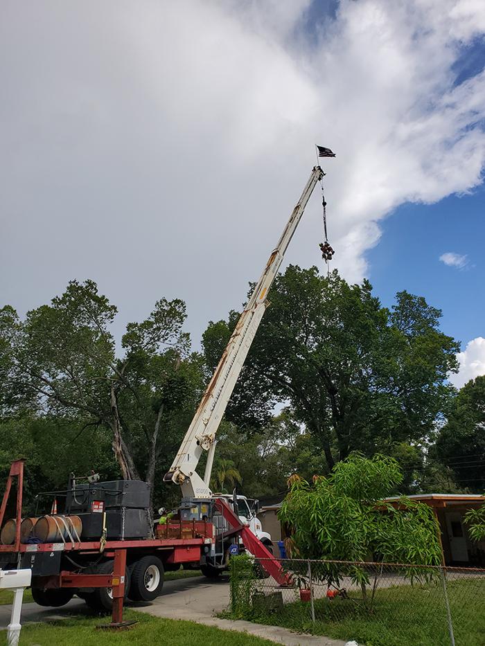 Greater Bay Area Tree & Arborist Services Image