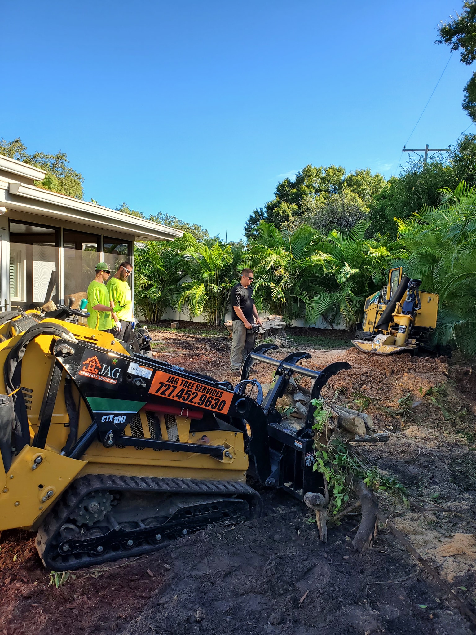 Image 3 | Greater Bay Area Tree & Arborist Services