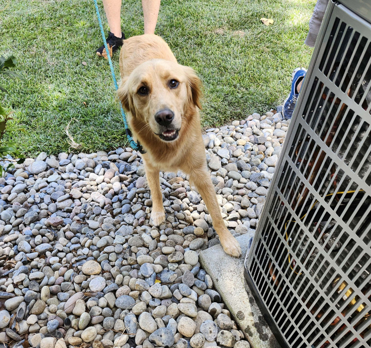 Crystal Coast Heating and Air Image