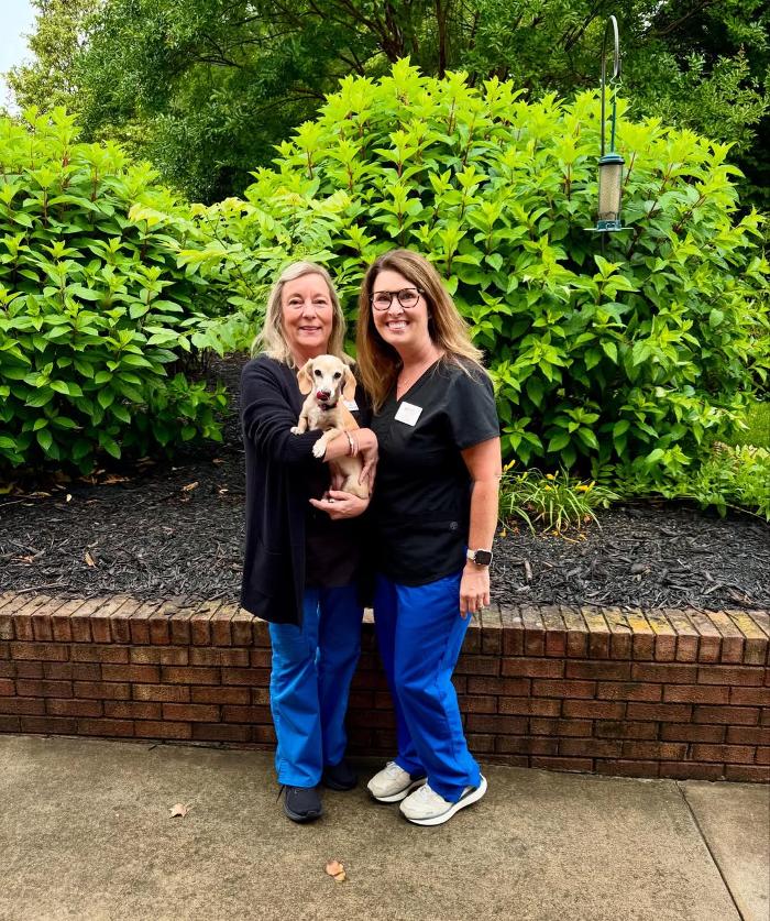 Smiles By Design Image