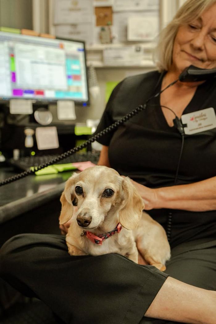 Smiles By Design Image