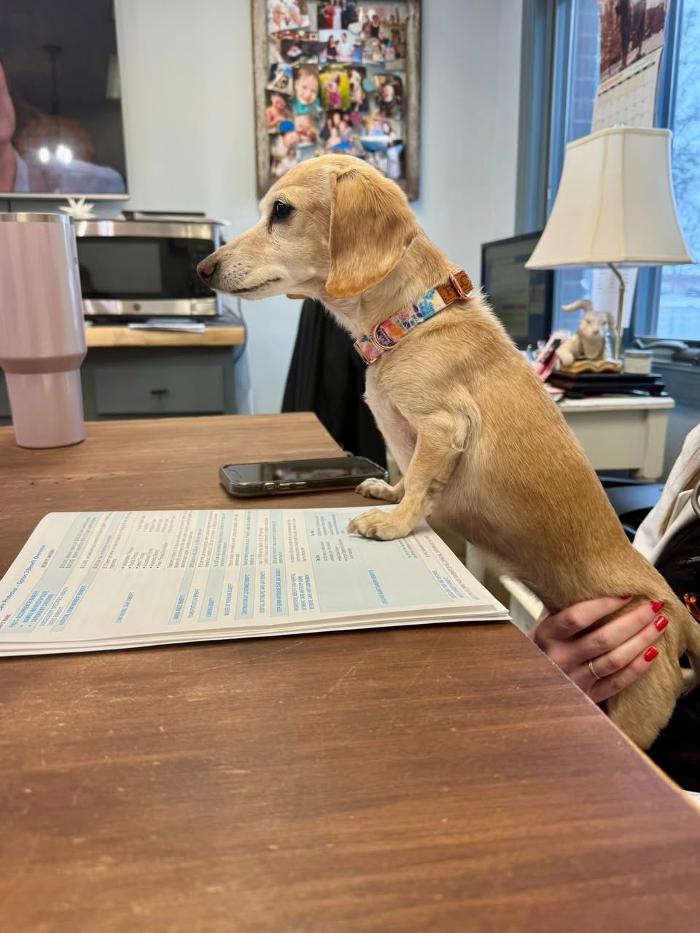 Smiles By Design Image