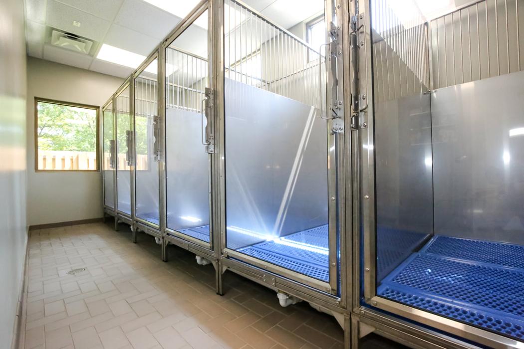 Greenbrier Veterinary Services - Evans, GA