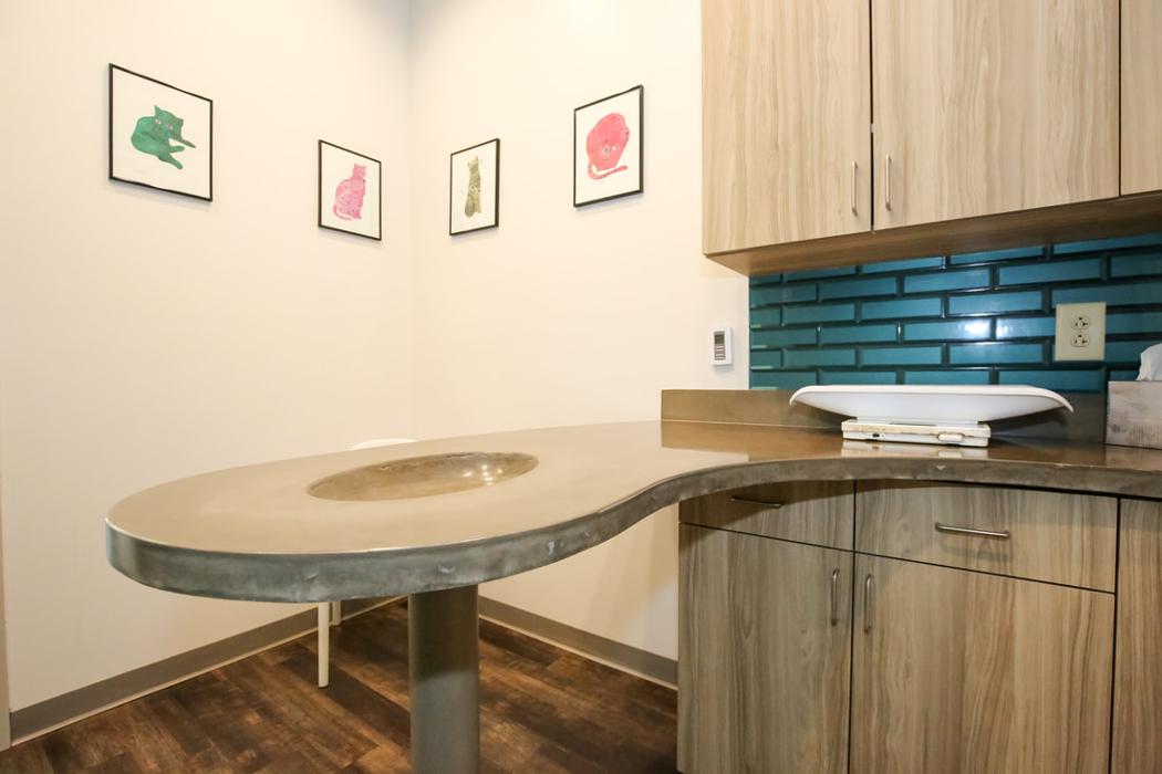 Greenbrier Veterinary Services - Evans, GA