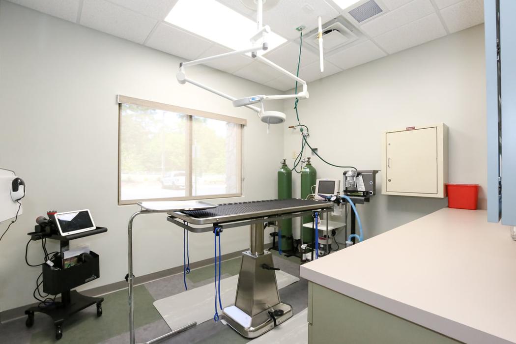 Greenbrier Veterinary Services - Evans, GA