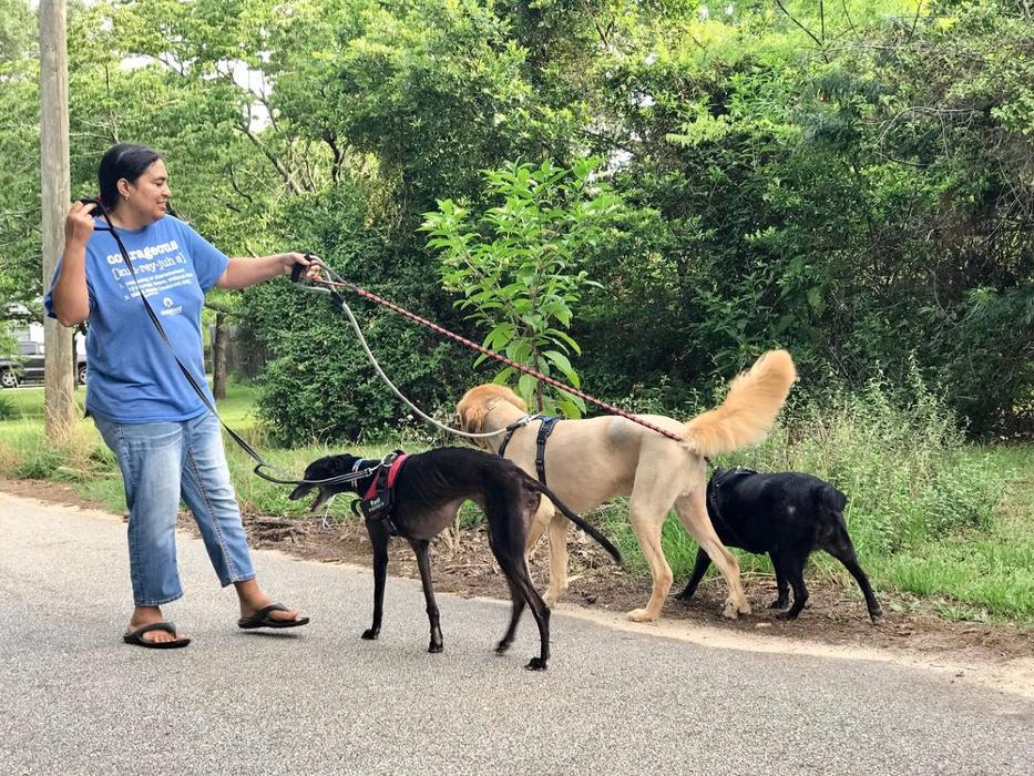 Greenbrier Veterinary Services - Evans, GA