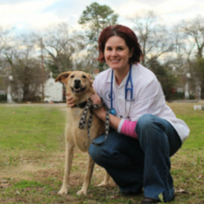 Greenbrier Veterinary Services - Evans, GA