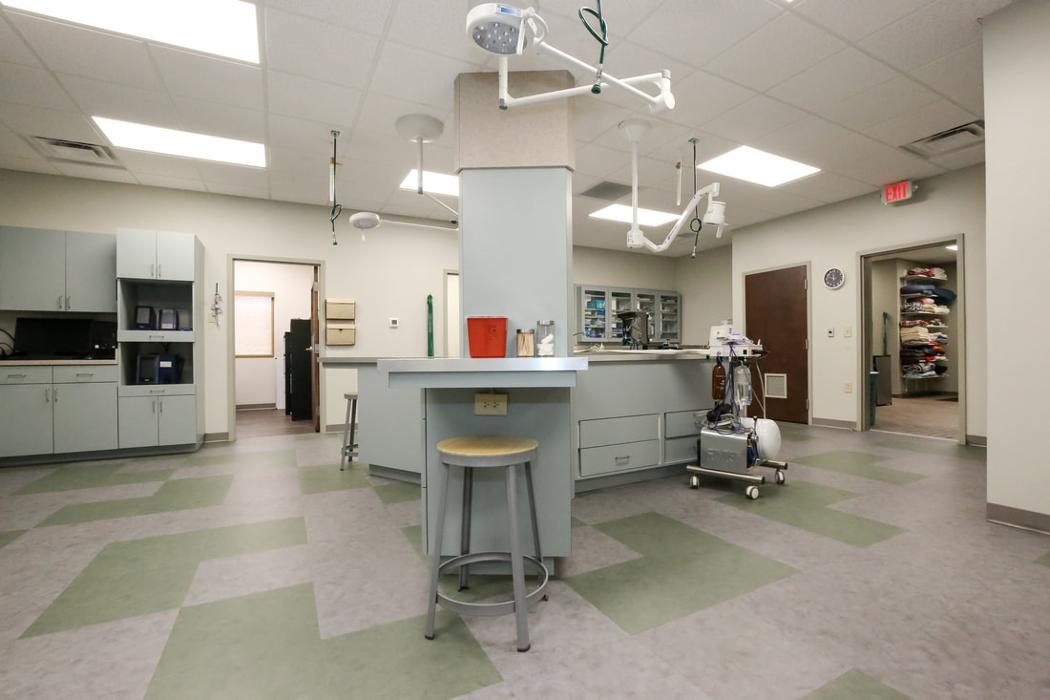 Greenbrier Veterinary Services - Evans, GA