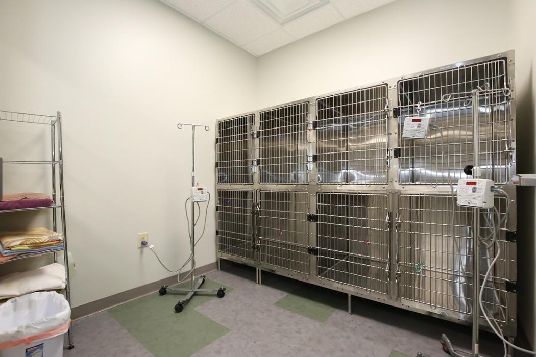 Greenbrier Veterinary Services - Evans, GA