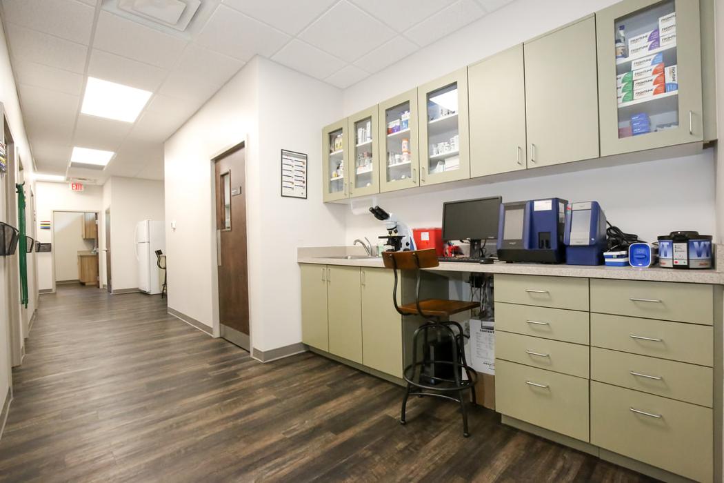 Greenbrier Veterinary Services - Evans, GA