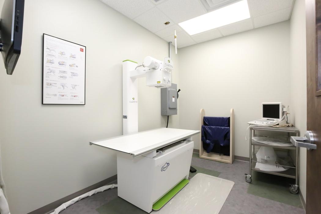 Greenbrier Veterinary Services - Evans, GA