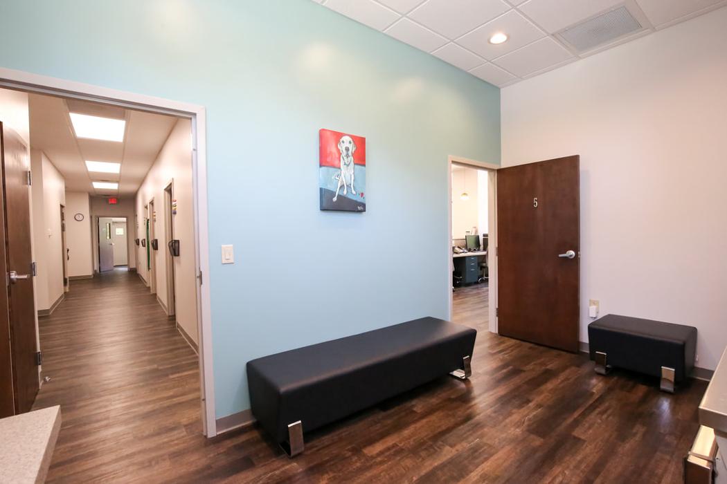 Greenbrier Veterinary Services - Evans, GA