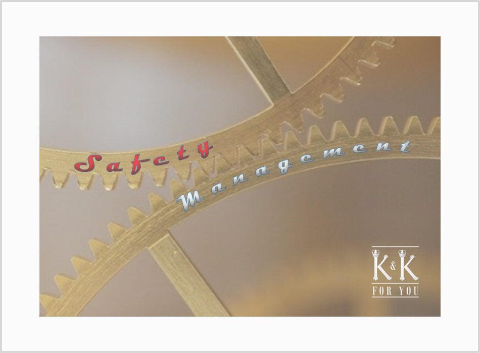 K & K FOR YOU - Spezialist für Managementsysteme und Arbeitssicherheit, Franz-Mehring-Straße in Finsterwalde