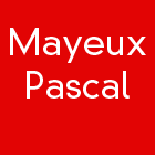 Mayeux Pascal peinture et vernis (détail)