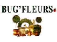 BUG FLEURS fleuriste